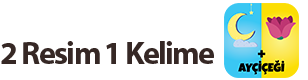 2 resim 1 kelime logosu