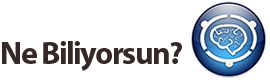 Ne Biliyorsun logosu